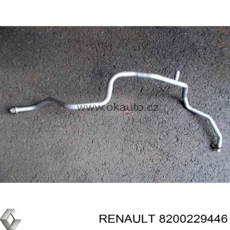  8200229446 Renault (RVI)