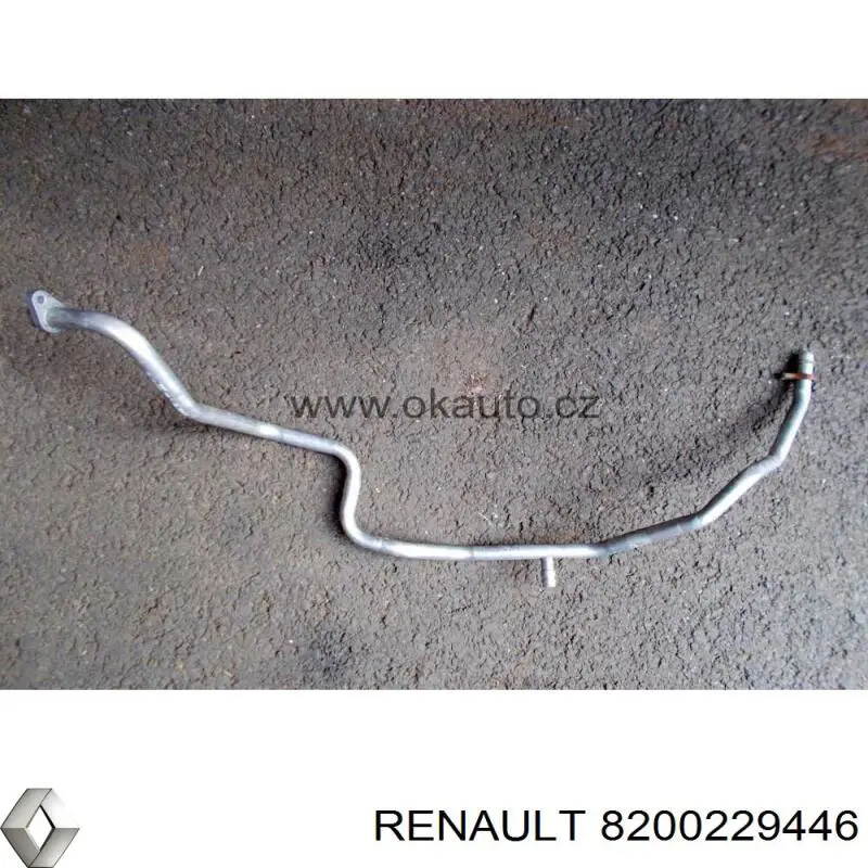  8200229446 Renault (RVI)