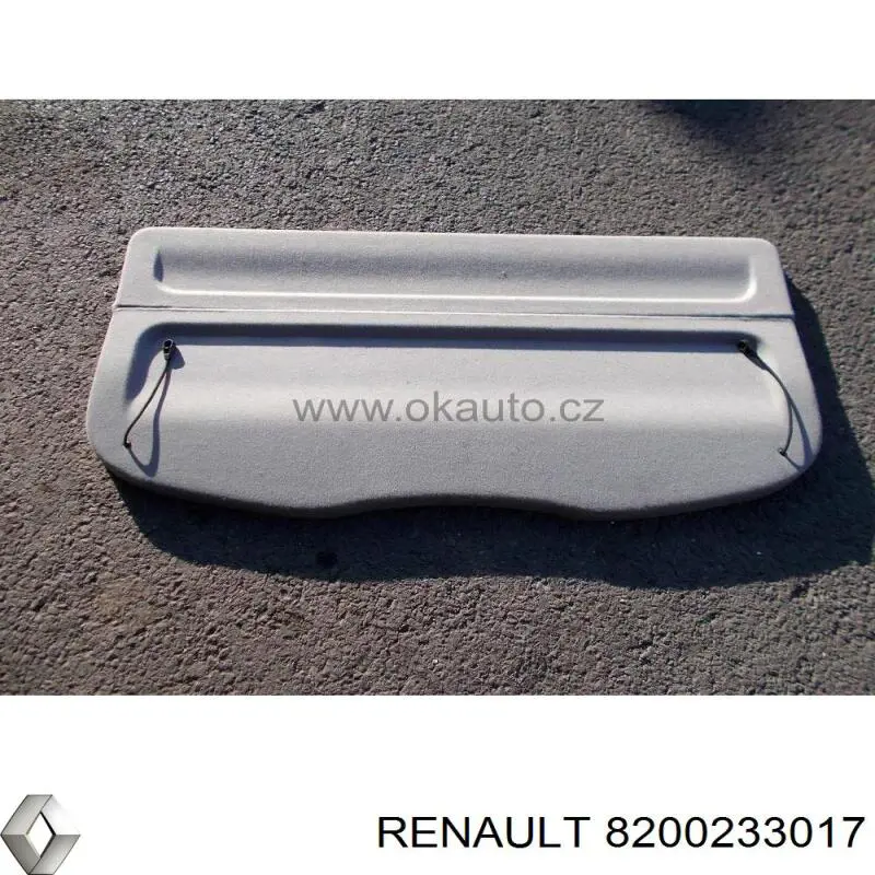 8200233017 Renault (RVI) полка салона задняя