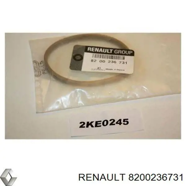 Прокладка дроссельной заслонки на Renault Scenic GRAND II 