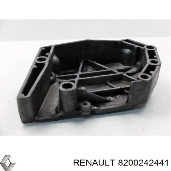 8200242441 Renault (RVI) 