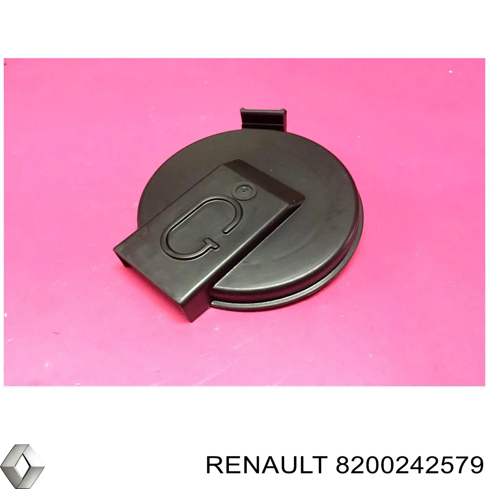  8200242579 Renault (RVI)