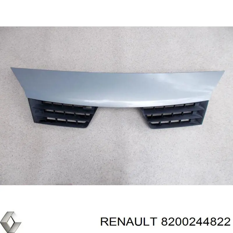 8200244822 Renault (RVI) 