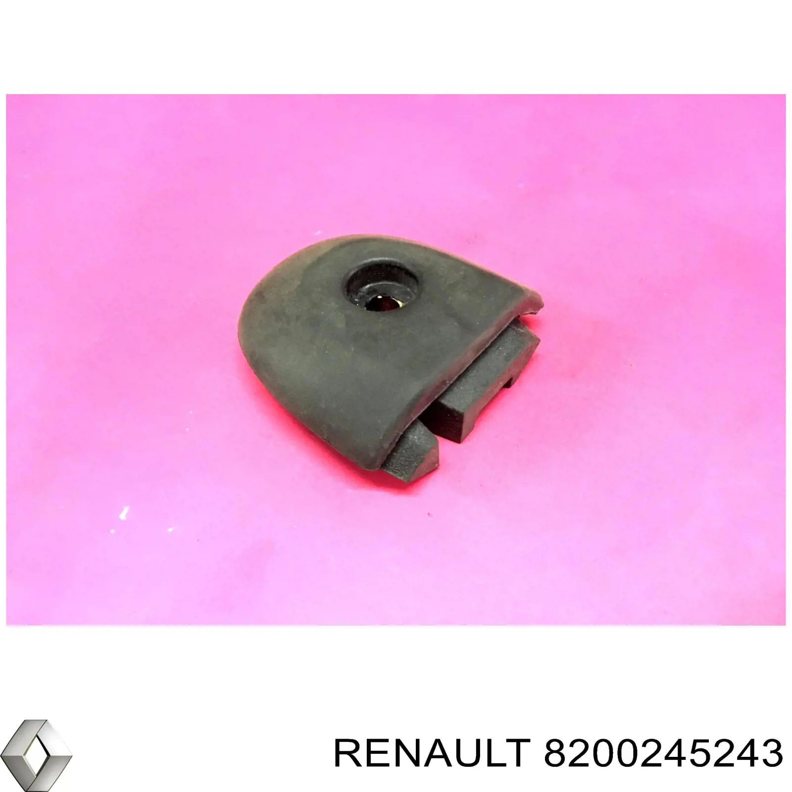  8200245243 Renault (RVI)