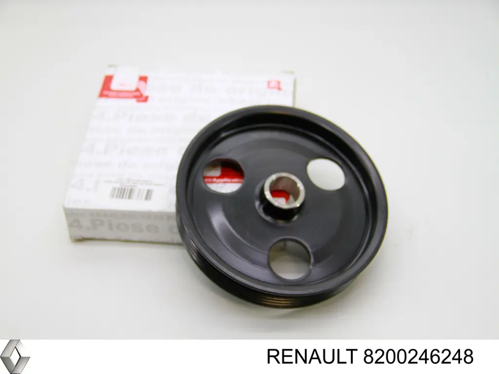 8200246248 Renault (RVI)