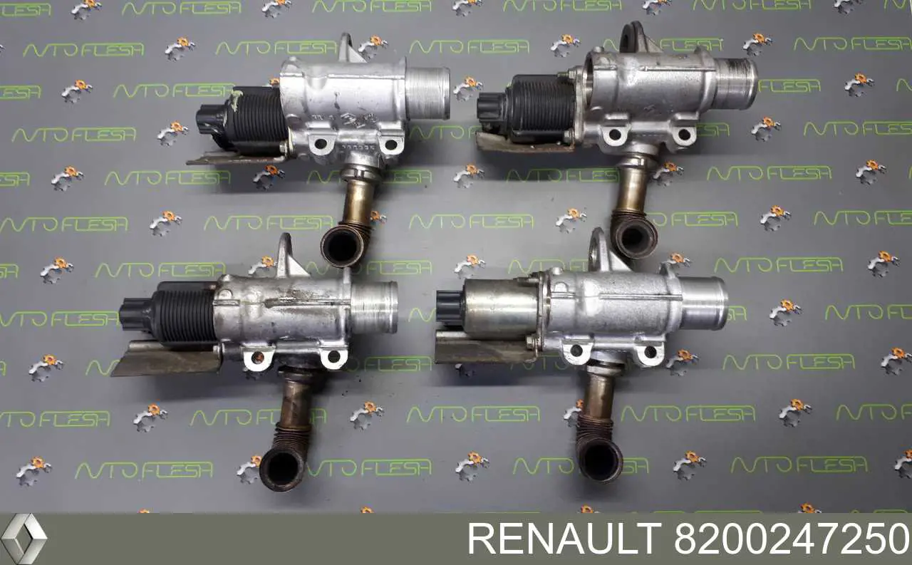 Клапан EGR, рециркуляции газов Renault (RVI) 8200247250