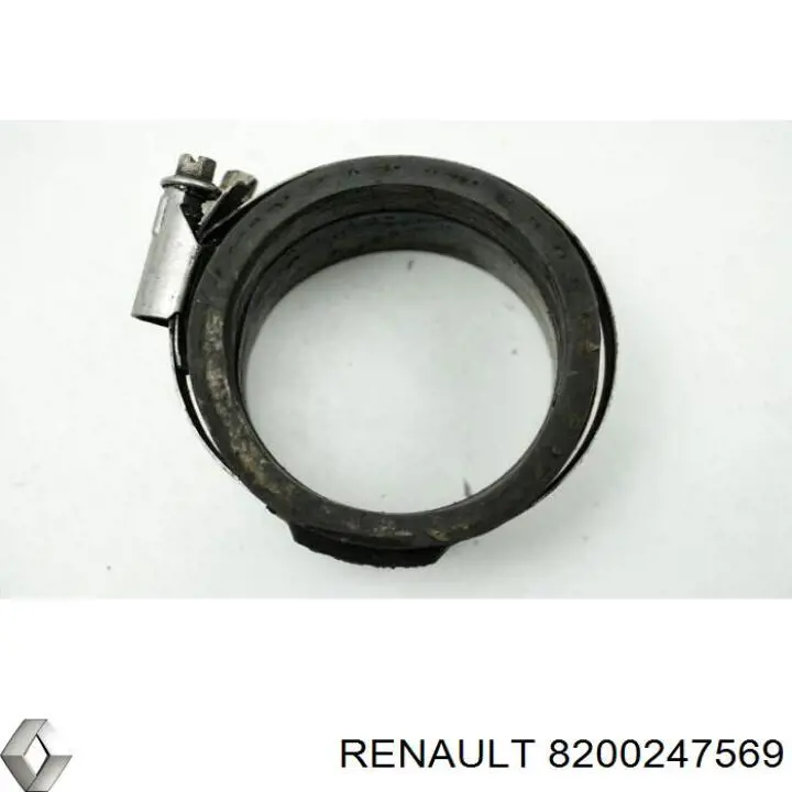  8200247569 Renault (RVI)