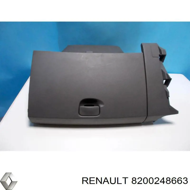 Купить 8200248663 Renault (RVI) 