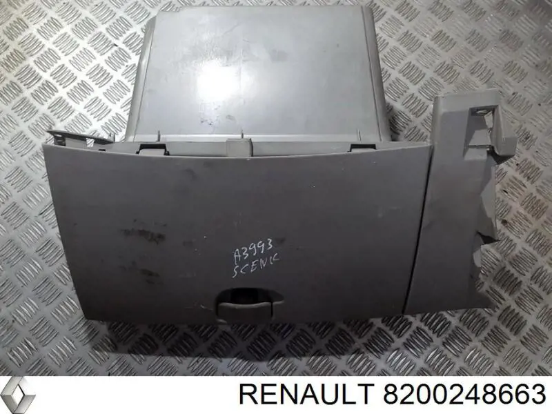  8200248663 Renault (RVI)