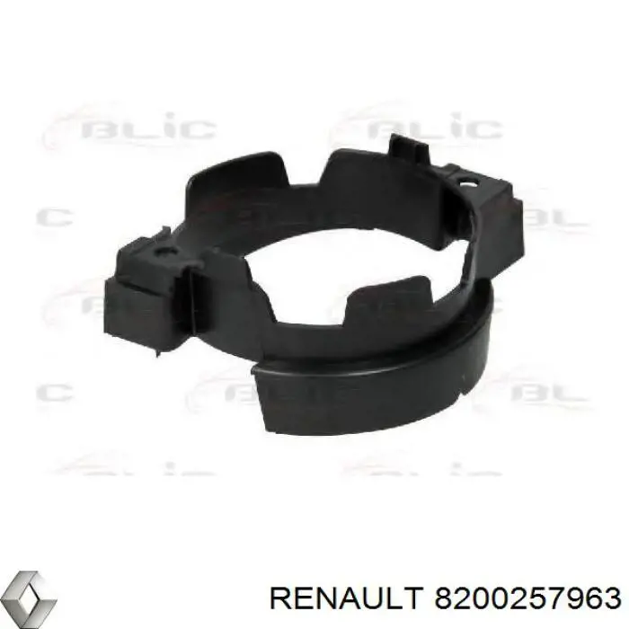  8200257963 Renault (RVI)