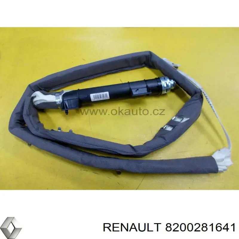 8200281641 Renault (RVI) 