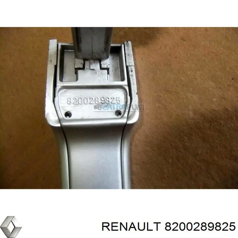 8200289825 Renault (RVI) 