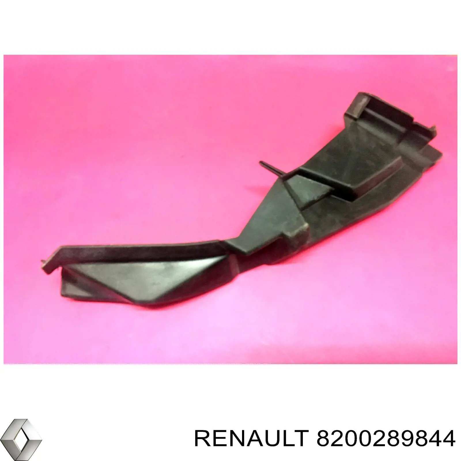  8200289844 Renault (RVI)