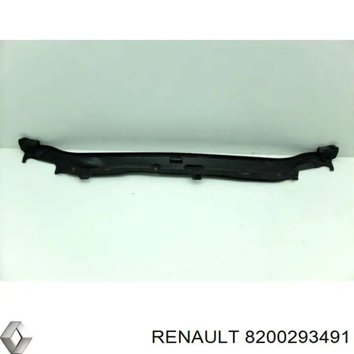  8200293491 Renault (RVI)