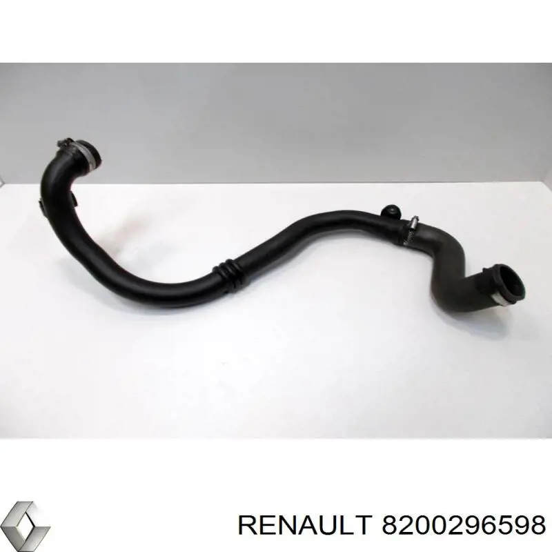  8200296598 Renault (RVI)