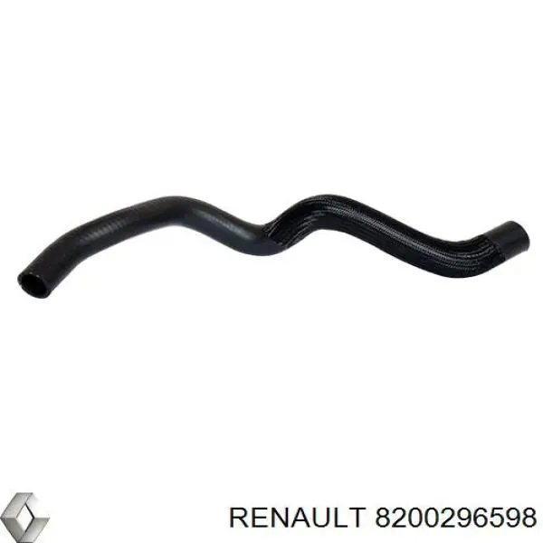  8200296598 Renault (RVI)