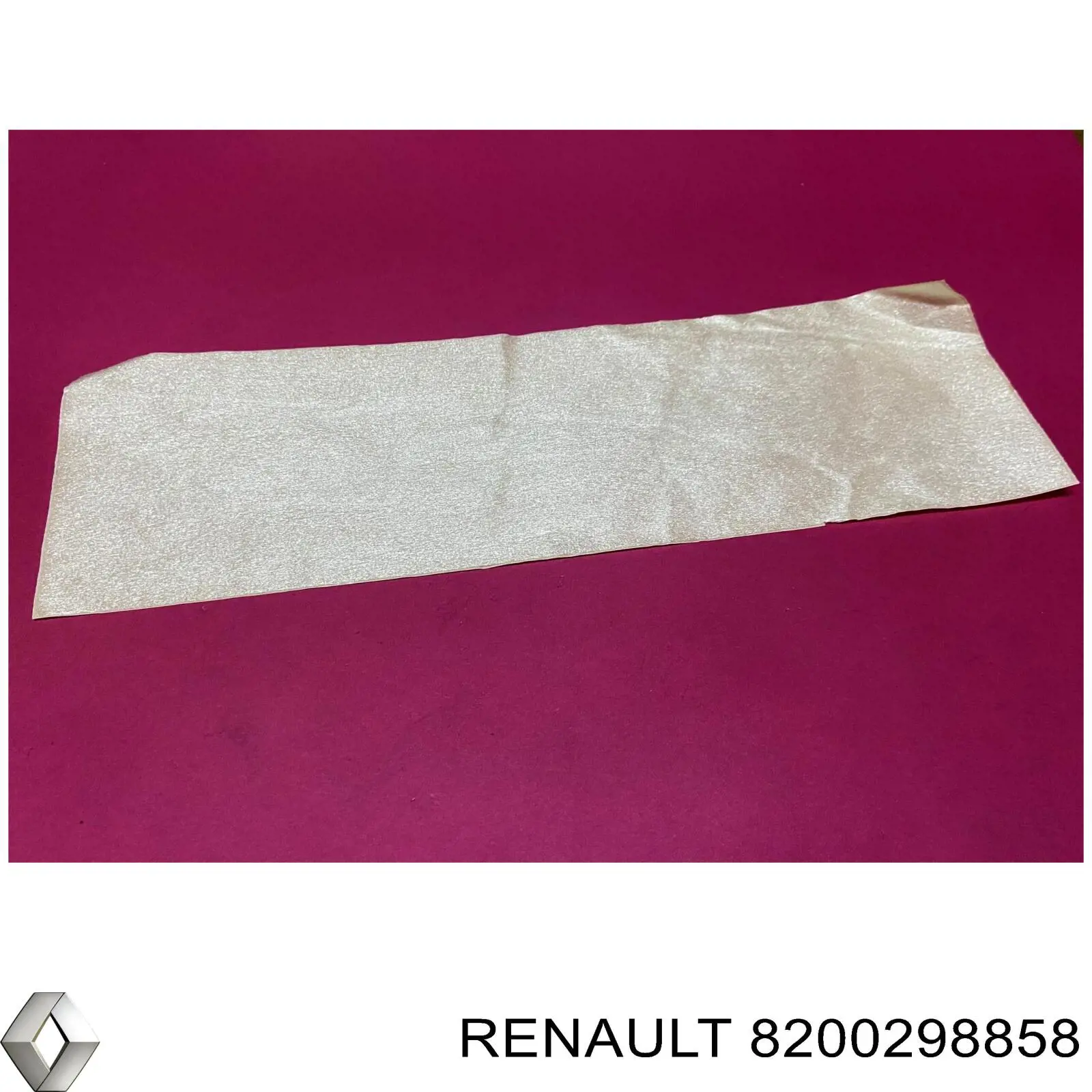 8200298858 Renault (RVI) 