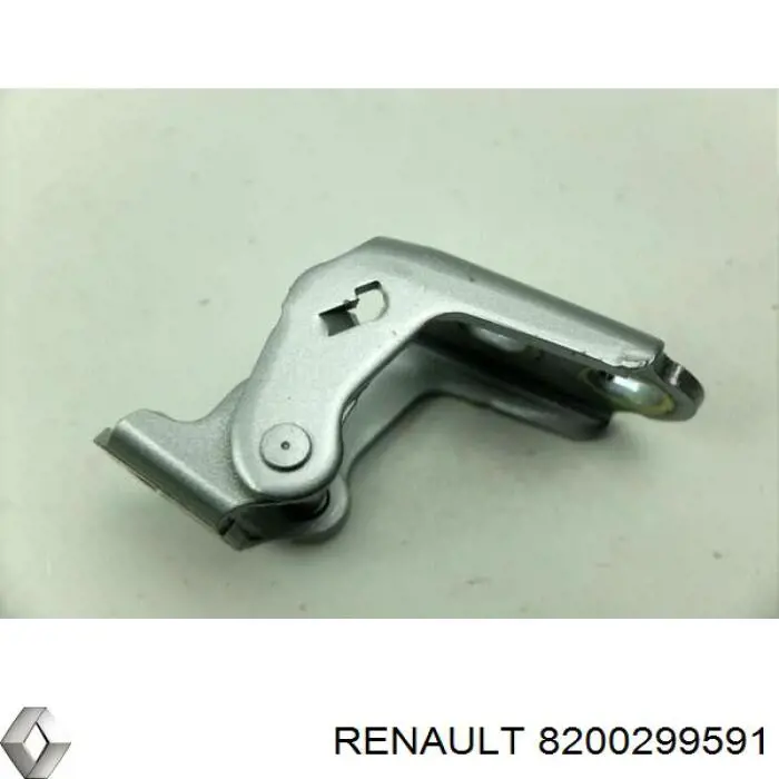  8200299591 Renault (RVI)