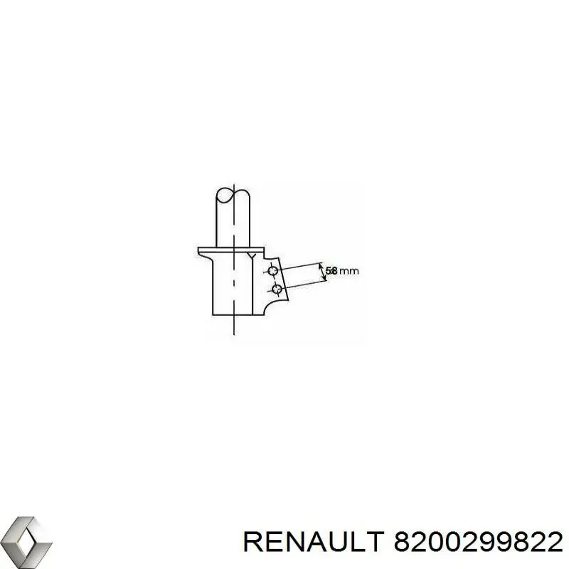 Амортизатор передний 8200299822 Renault (RVI)