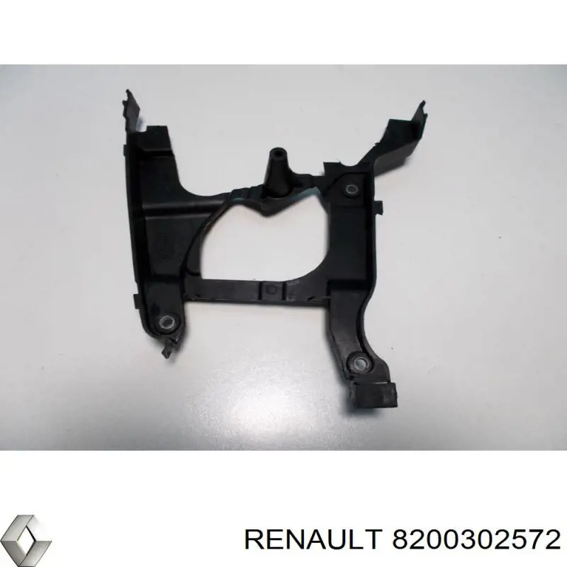  8200302572 Renault (RVI)