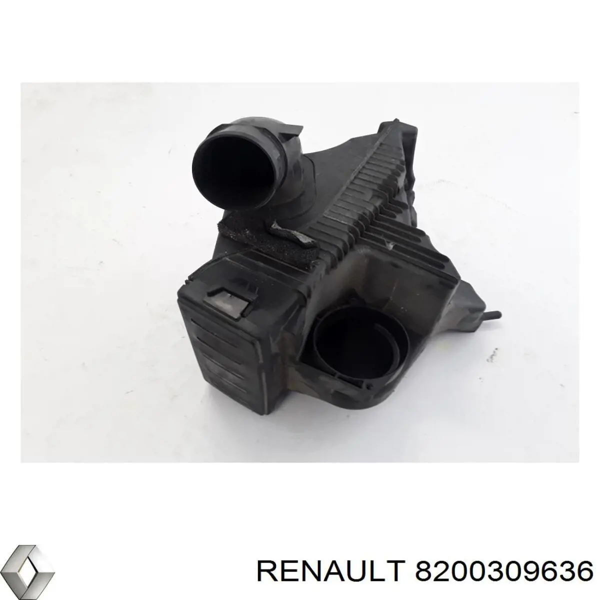  8200309636 Renault (RVI)