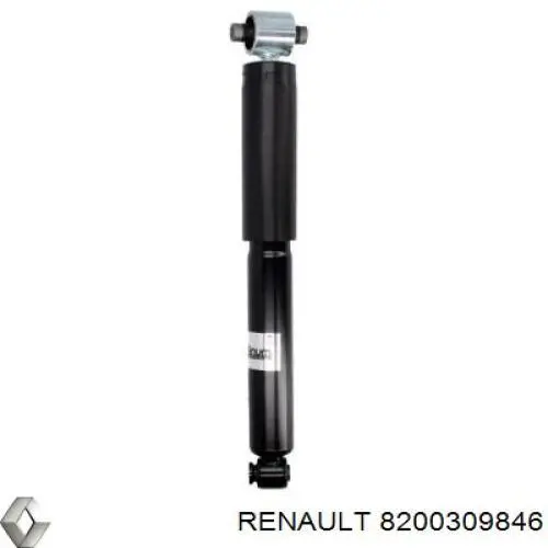 8200309846 Renault (RVI) 