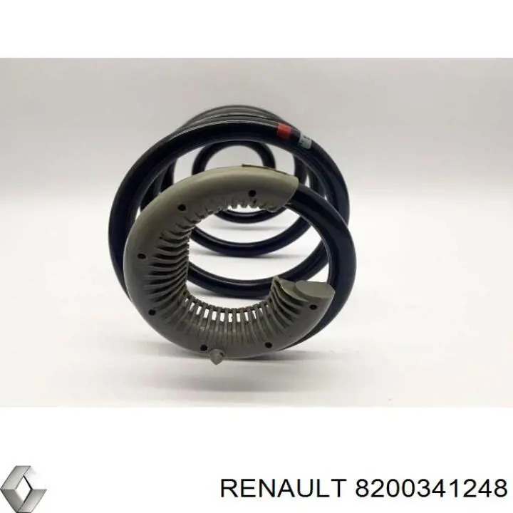 Задняя пружина 8200341248 Renault (RVI)