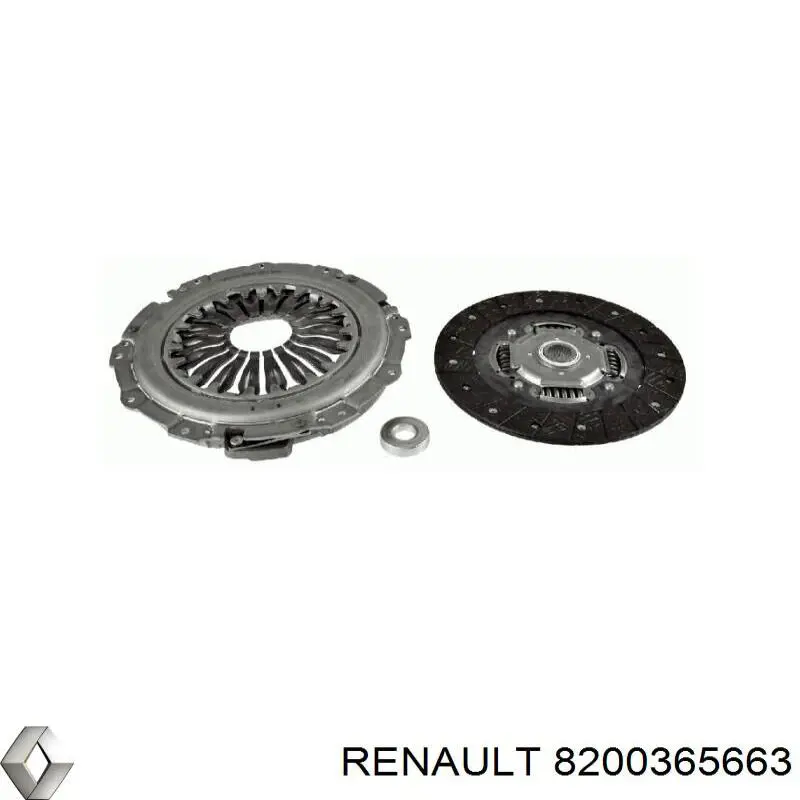  8200365663 Renault (RVI)