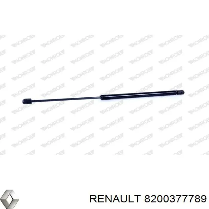 Амортизатор задней двери Renault (RVI) 8200377789 цена, от 9.20 USD