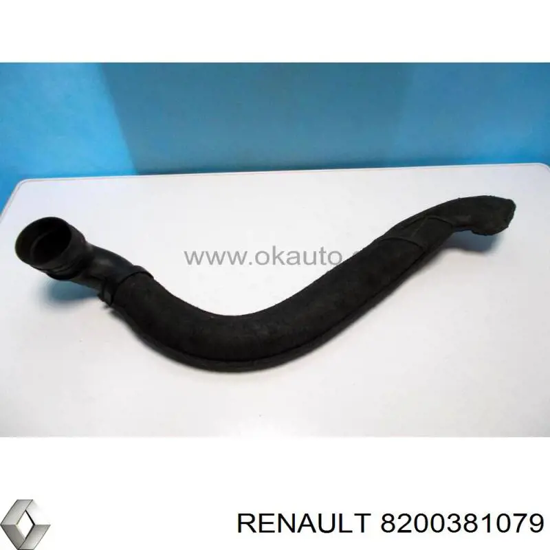 Патрубок воздушный, вход воздушного фильтра Renault (RVI) 8200381079 цена, от 11.25 USD