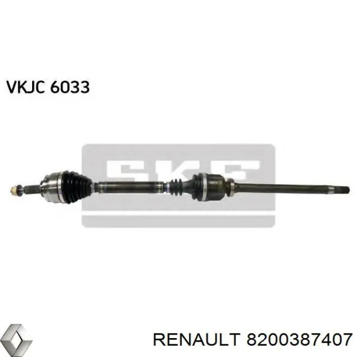 8200387407 Renault (RVI) 