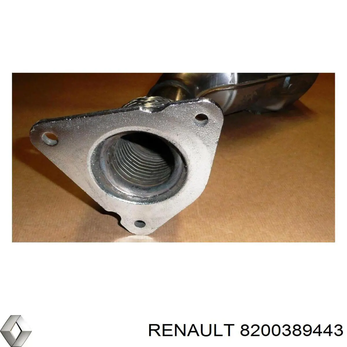  8200389443 Renault (RVI)