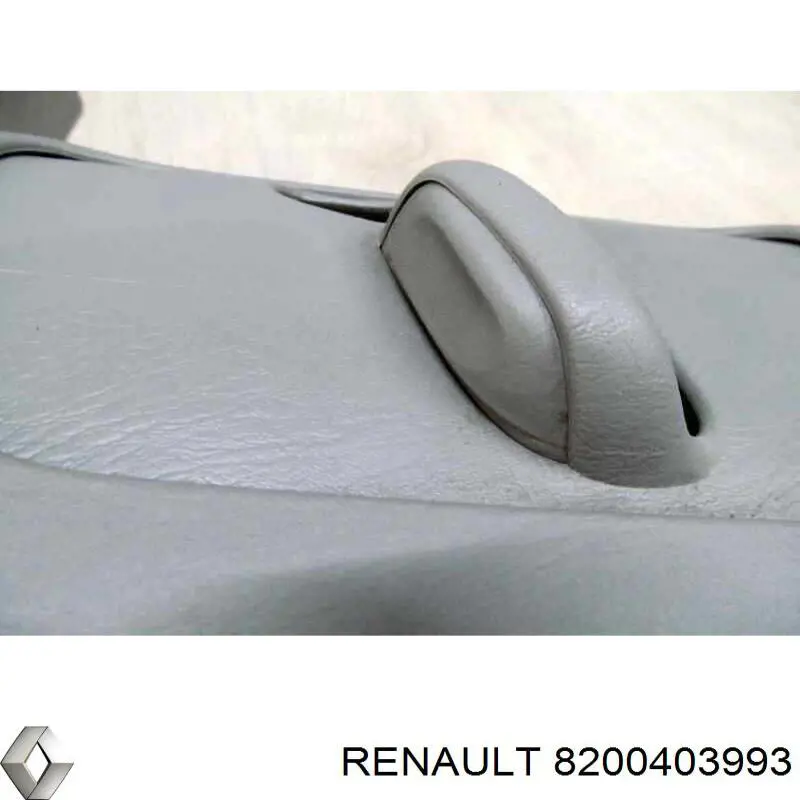  8200403993 Renault (RVI)