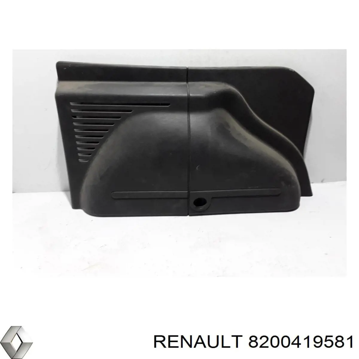  8200419581 Renault (RVI)