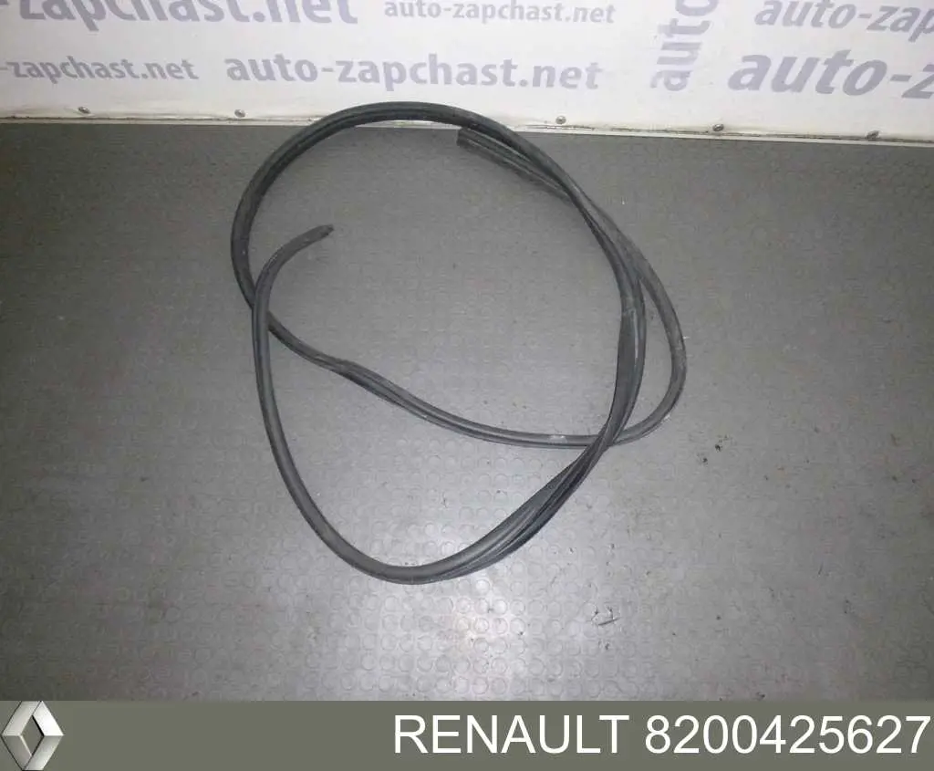 Купить 8200425627 Renault (RVI) 