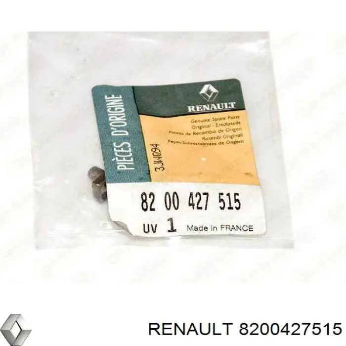  8200427515 Renault (RVI)