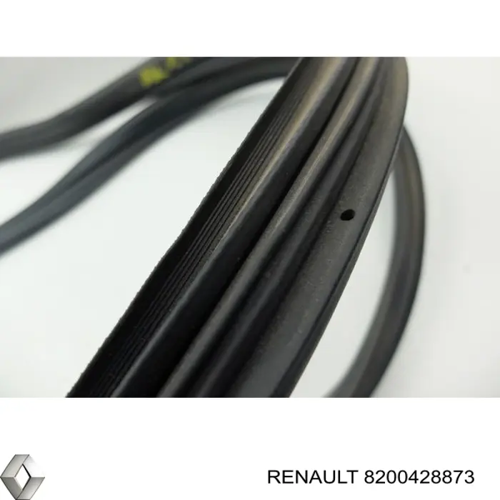 8200428873 Renault (RVI) 