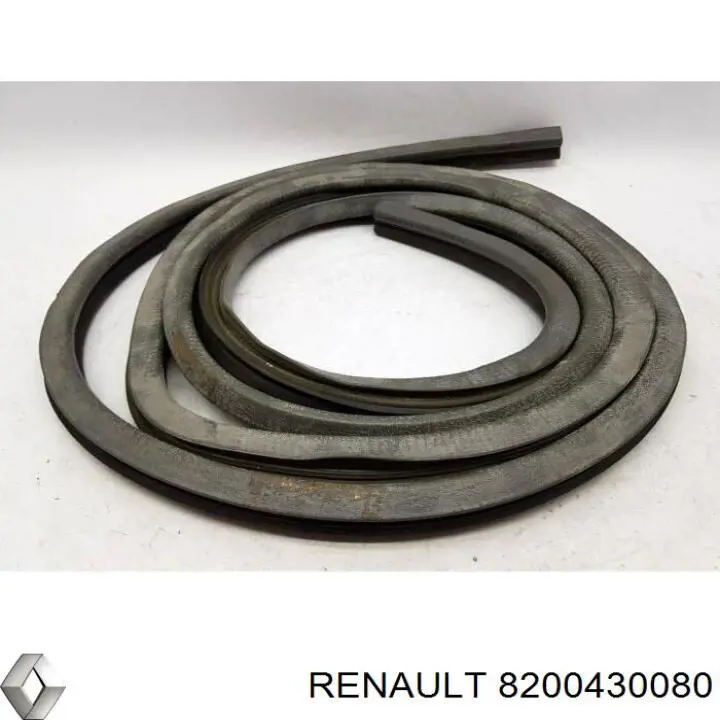  8200430080 Renault (RVI)