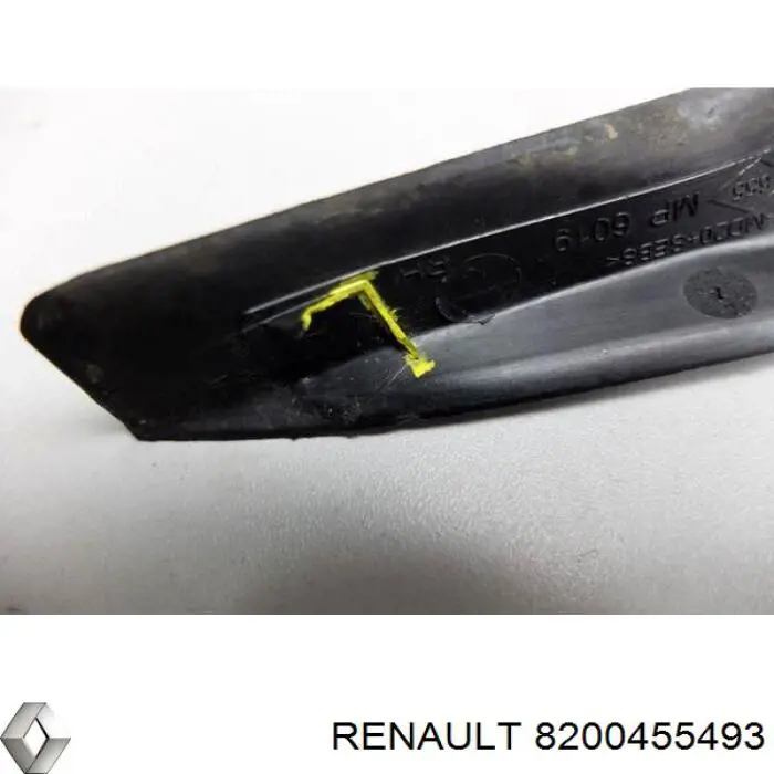 8200455493 Renault (RVI) 