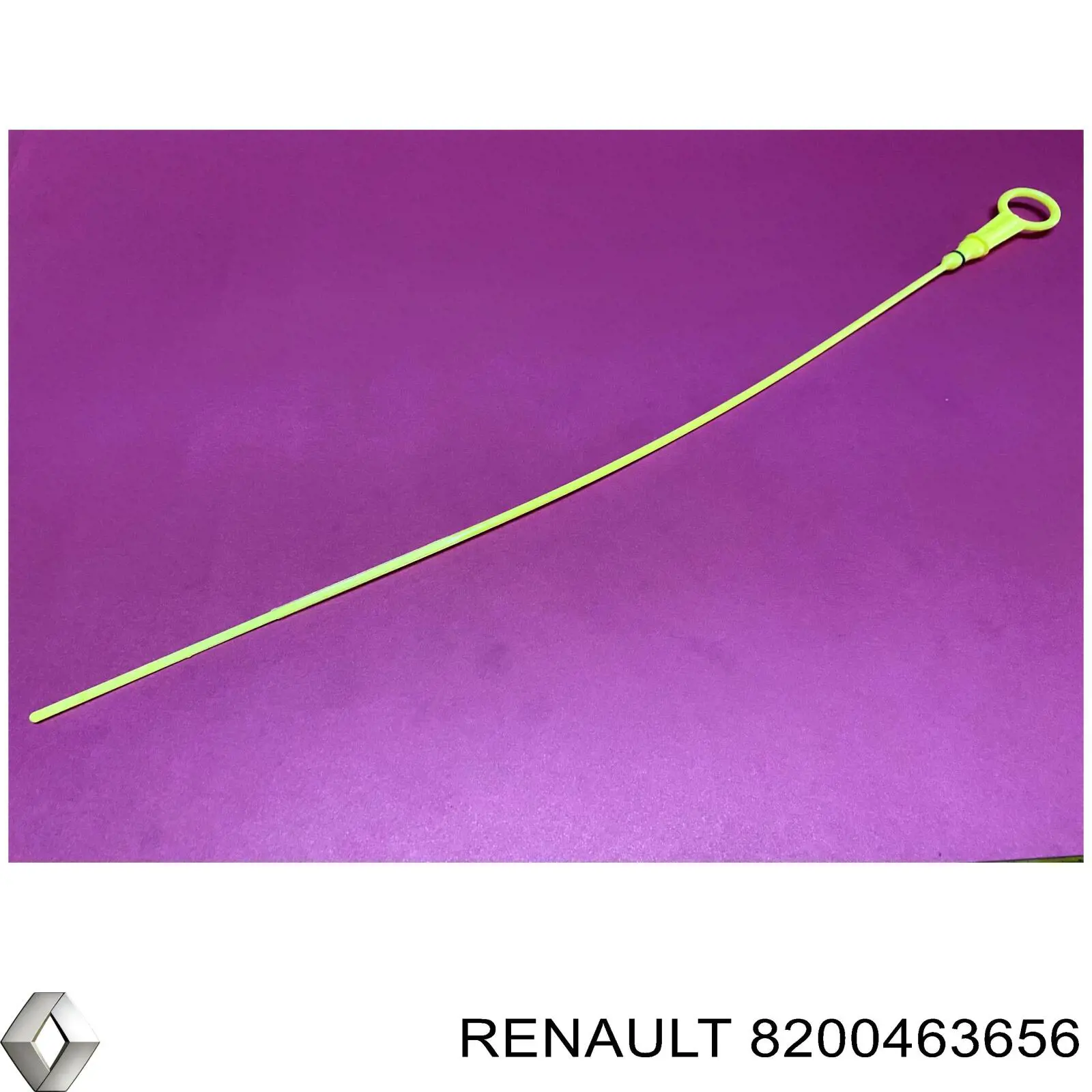 8200463656 Renault (RVI)