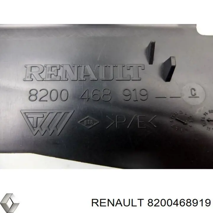  8200468919 Renault (RVI)