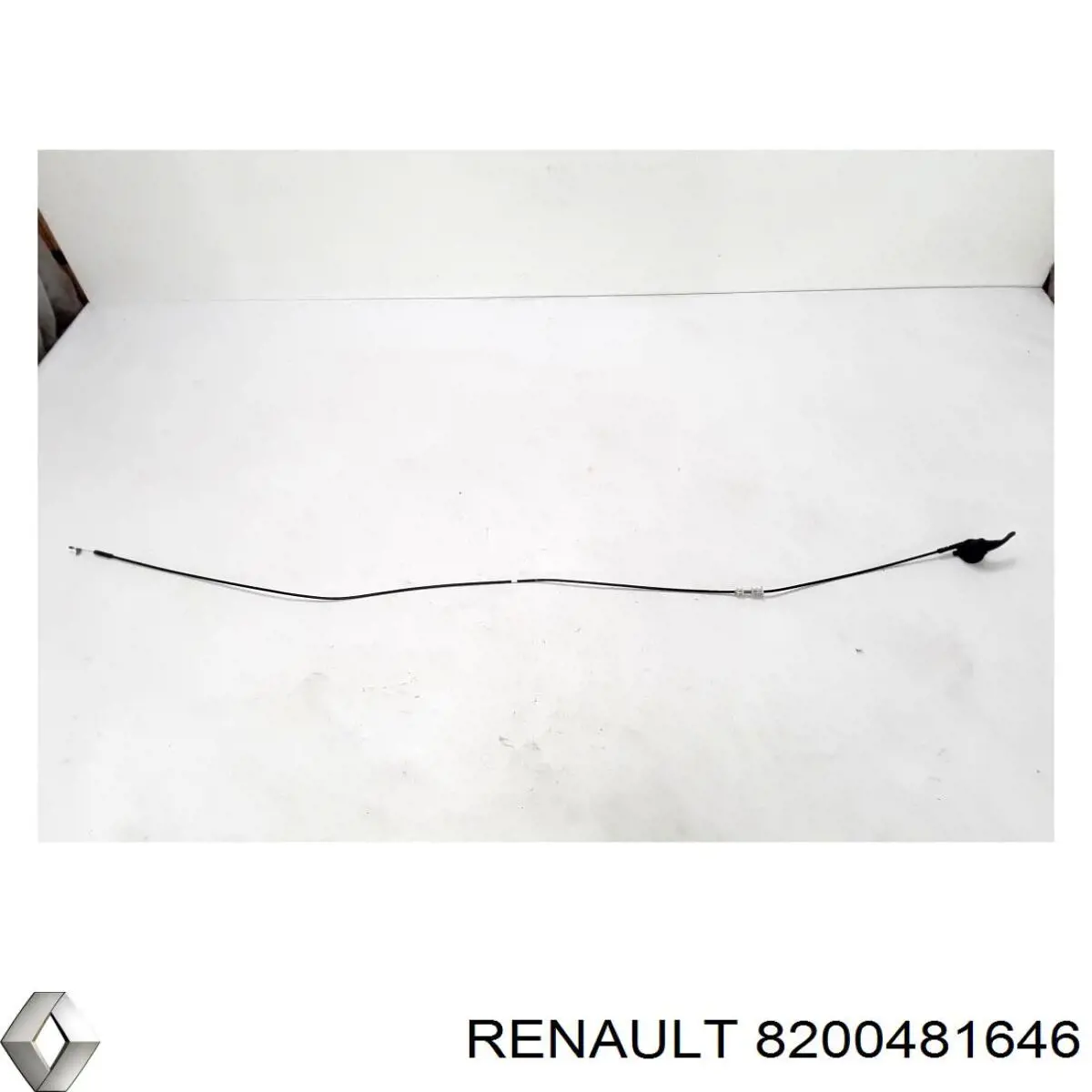  8200481646 Renault (RVI)