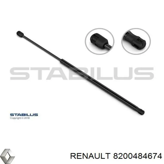 8200484674 Renault (RVI)