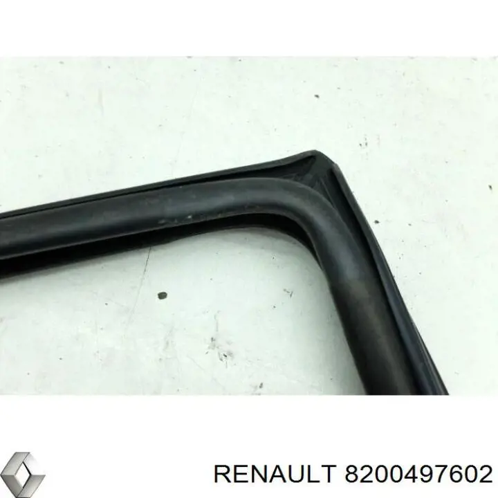  8200497602 Renault (RVI)