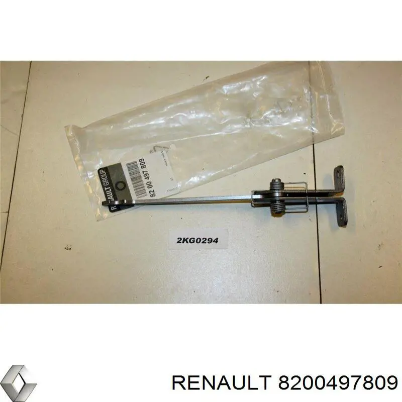  8200497809 Renault (RVI)