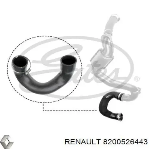 8200526443 RENAULT Manguera del intercooler izquierda original y equivalente