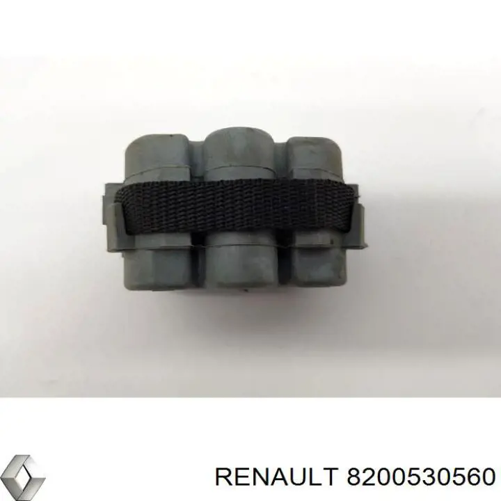  8200530560 Renault (RVI)