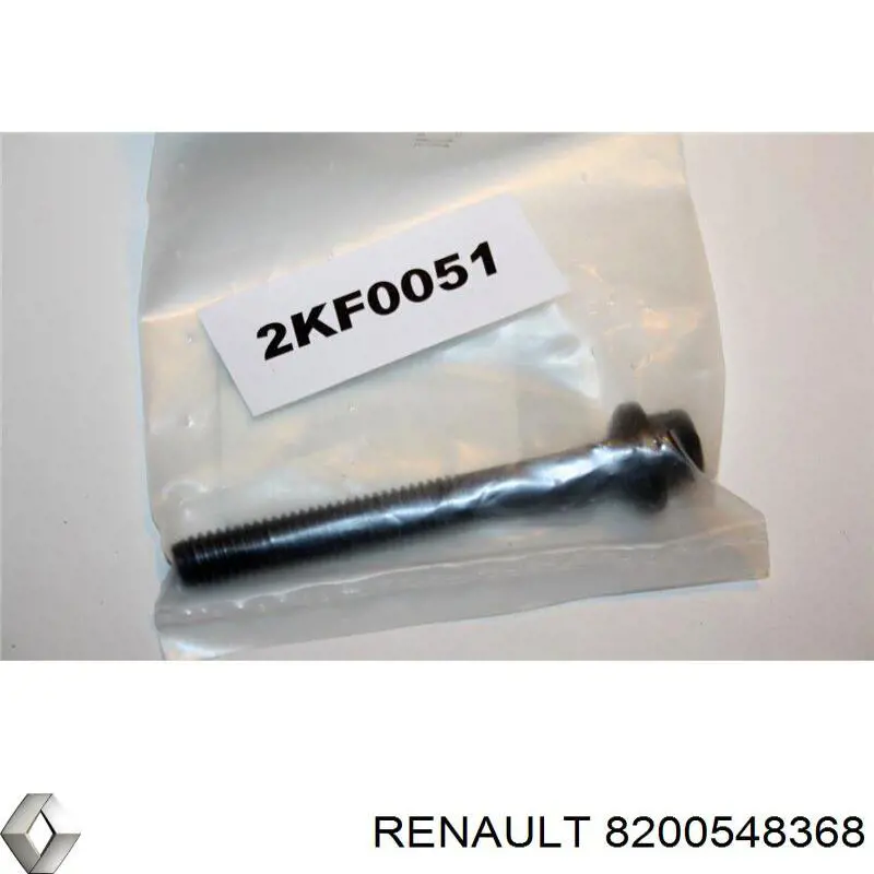 8200548368 Renault (RVI) parafuso de fixação do injetor