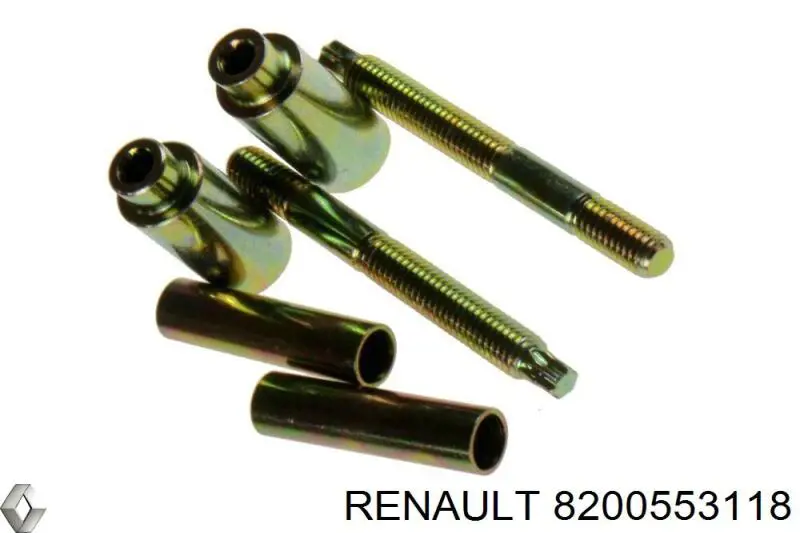 Болт крепления форсунки 8200553118 Renault (RVI)