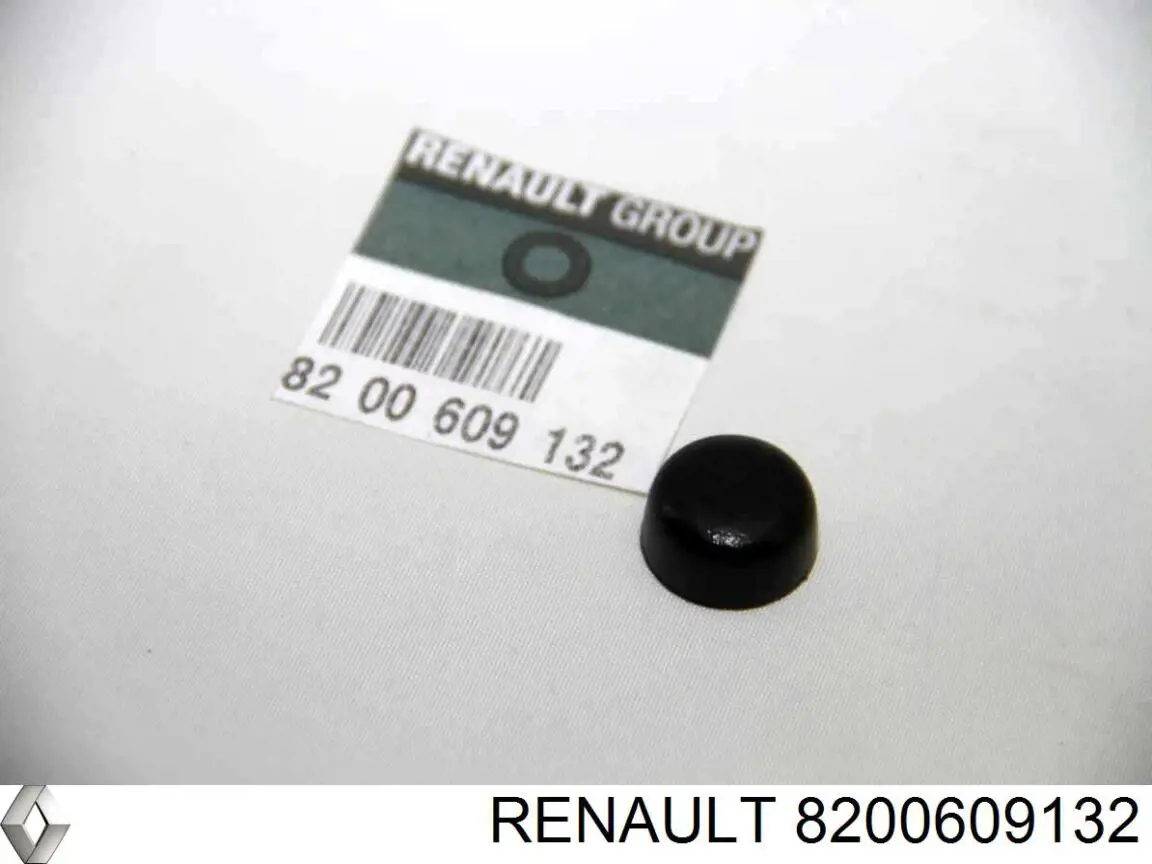 8200609132 Renault (RVI) 
